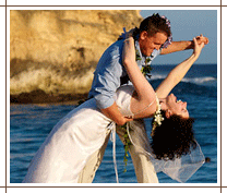 The Paradise Package Image