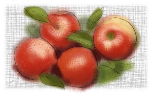 Apples