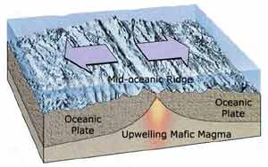 sea floor spreading