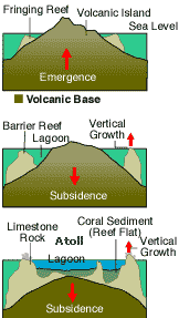 reef stages