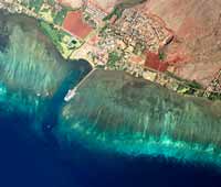 molokai fringing reef