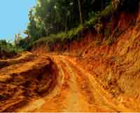 road cut showing deep  red Hawaiian soil