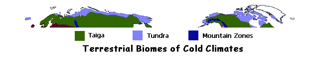cold biomes map
