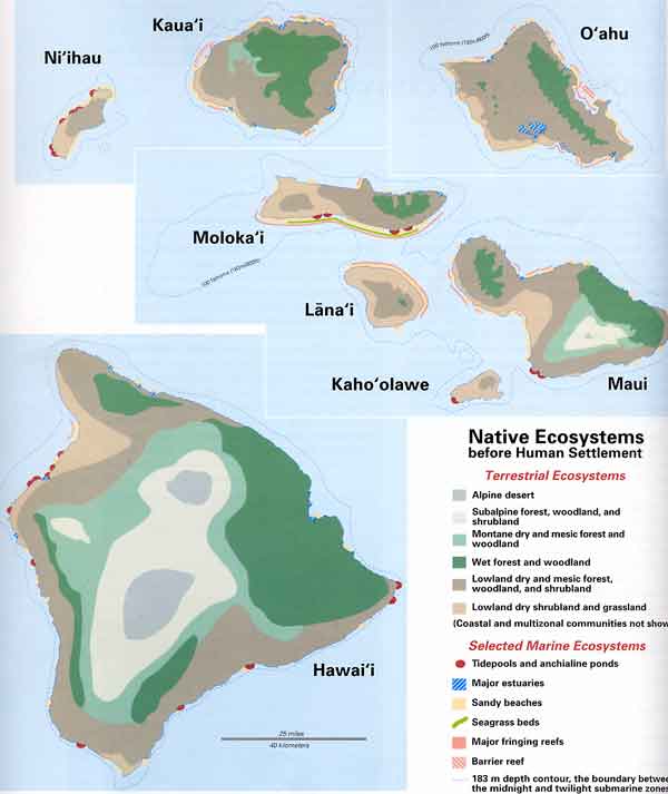 hawaiian native ecosystems