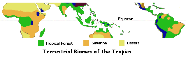 tropical biomes map