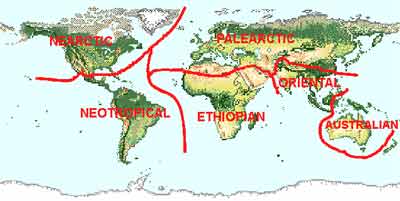 What is a Mountain? - Geography Realm