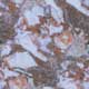 metamorphic marble