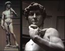 David