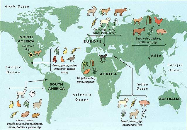 domesticated plants and animals